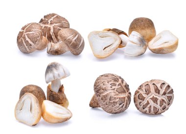 shiitake mantar ve saman üzerinde beyaz izole mantar