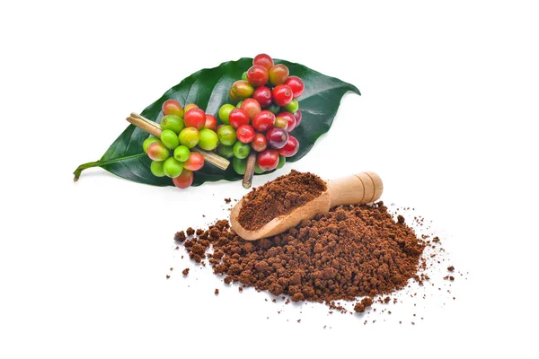 Nasiona kawy i proszek w drewniana miarka na białym tle na białym tle — Zdjęcie stockowe