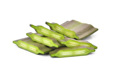 Beyaz izole Oroxylum indicum