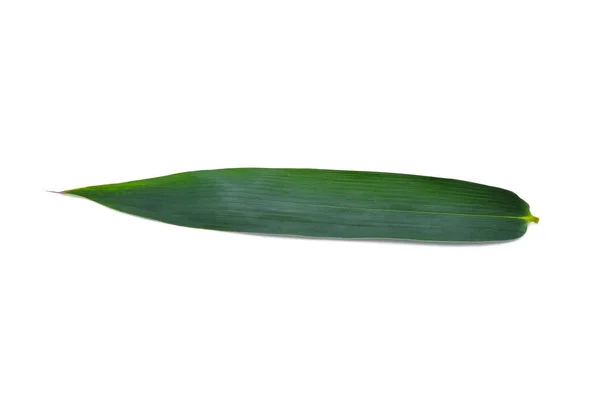Бамбуковый лист на белом фоне — стоковое фото