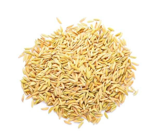 Beyaz arka plan üzerinde izole paddy Yasemin pirinç yığını — Stok fotoğraf