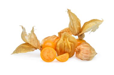 Böğürtlen Burnu, beyaz arka planda izole edilmiş bitki örtüsü.