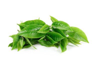 Yeşil çay yığını üzerinde izole beyaz arka plan bırakır