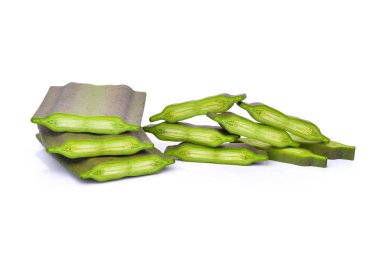 Beyaz arka plan üzerinde izole Oroxylum indicum