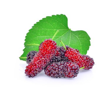 Beyaz arka plan üzerinde izole yaprak taze dut