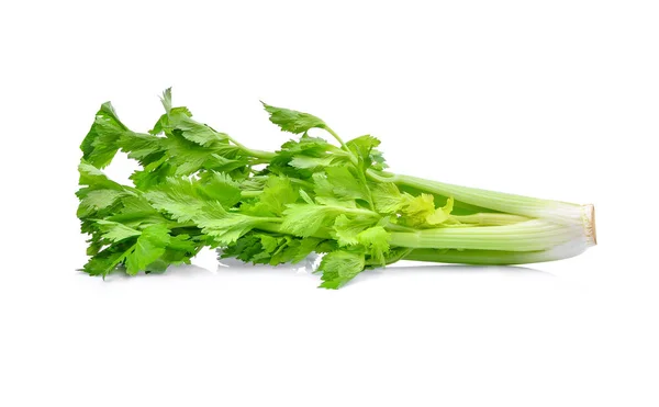 Celery isolated on white background — Stock Photo, Image