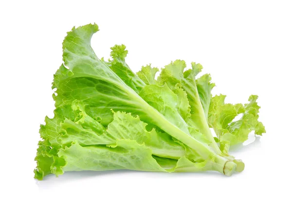 Hojas frescas de ensalada de lechuga verde aisladas sobre fondo blanco. — Foto de Stock