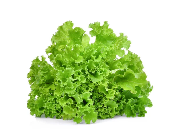 鲜绿色生菜沙拉叶子，白色背景隔离. — 图库照片