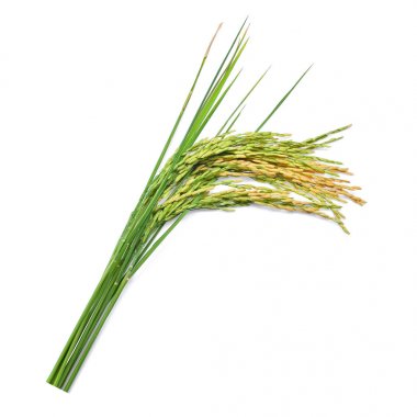 Yeşil çeltik pilavı beyaz arka planda izole edilmiş