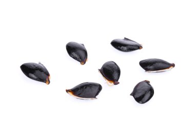 Beyaz arka plan üzerinde izole sapodilla tohumları