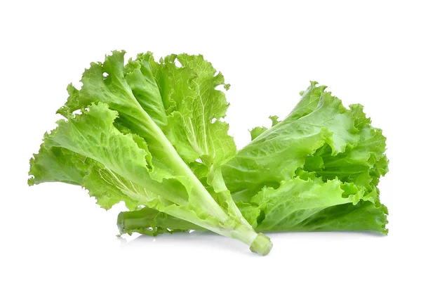 Fresh green oak lettuce isolated on white background — Stock Photo, Image