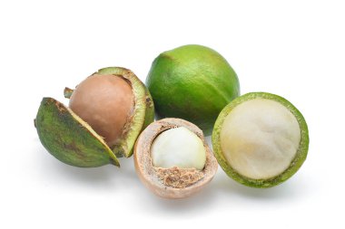 Macadamia beyaz arkaplanda izole edildi