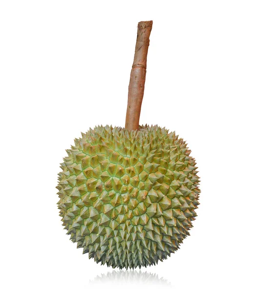 Långa stam eller kan yao durian (thailändska namn) kungen av frukter, tropiska — Stockfoto