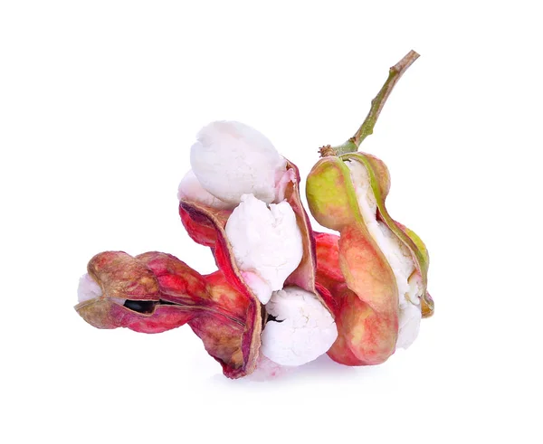 Gousse fraîche de tamarin manila isolée sur fond blanc — Photo