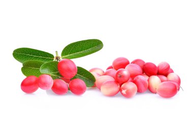 Beyaz arka plan üzerinde izole karanda veya carunda tropikal meyve