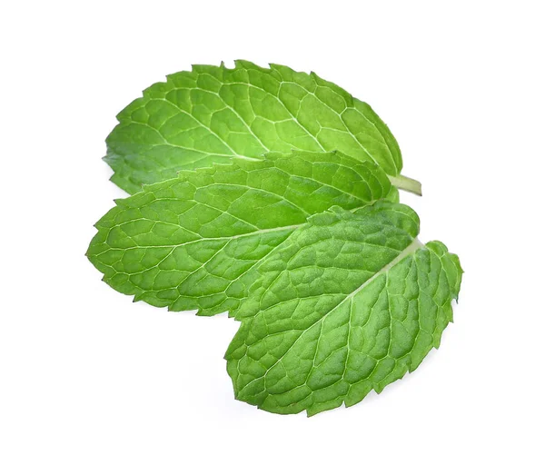 Fresh mint leaf isolated on white background — Stock Photo, Image