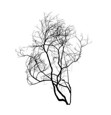 uyumak arka plan üzerinde izole ölü ağaç siluet