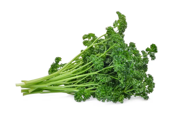 Green fresh parsley healthy vegetables isolated on white backgro — Stock Photo, Image