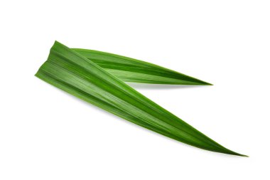 fresh green pandan leaves isolated on white background clipart