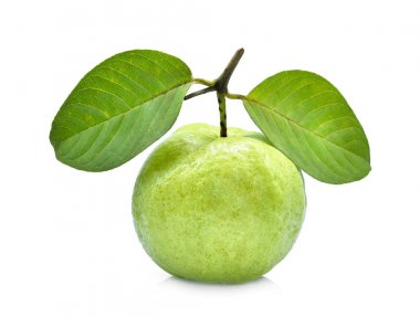 Tek taze guava meyve yeşil yaprak üzerinde beyaz backg izole