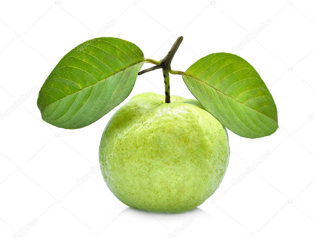 guava blad köpa guava blad köpa