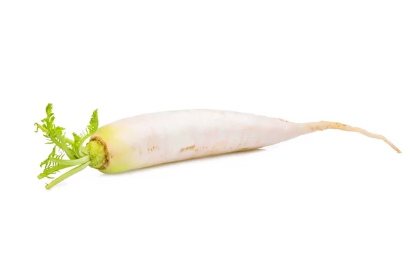 Single fresh daikon radish isolated on the white background — Stock Photo, Image