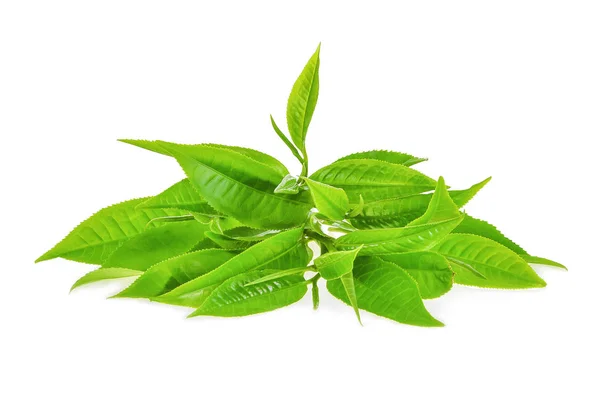 Pila de hojas de té verde ilsolated sobre fondo blanco — Foto de Stock