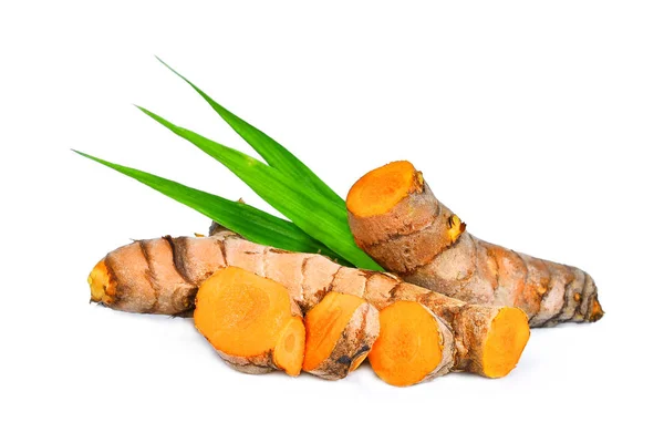 Radice di curcuma con foglie verdi isolate su sfondo bianco — Foto Stock