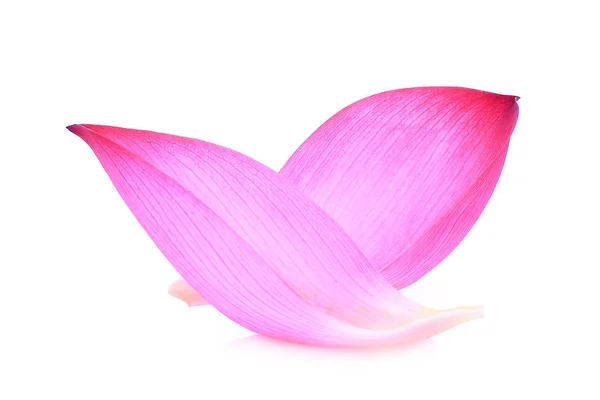 Närbild av rosa lotus kronblad isolerad på vit bakgrund — Stockfoto