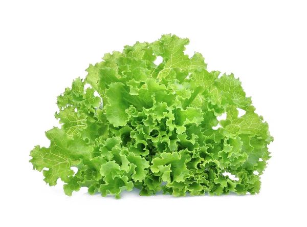 鲜绿色生菜沙拉叶子，白色背景隔离 — 图库照片