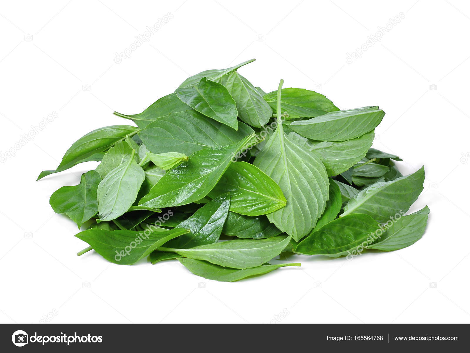 Тают листья листья тают. Первый снег. Лимонное дерево на прозрачном фоне. Тают листья листья тают. Тают листья листья тают.