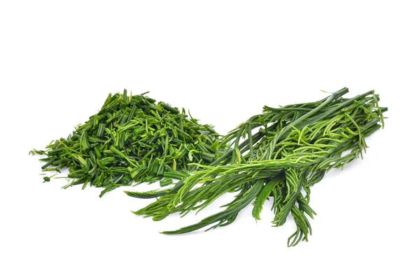 Gröna blad, Acacia pennata eller eller cha om isolerade på vita b — Stockfoto
