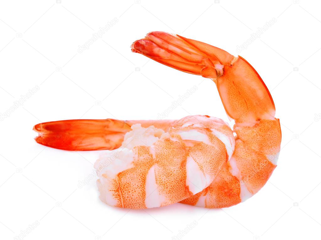 two shrimps isolated on white background