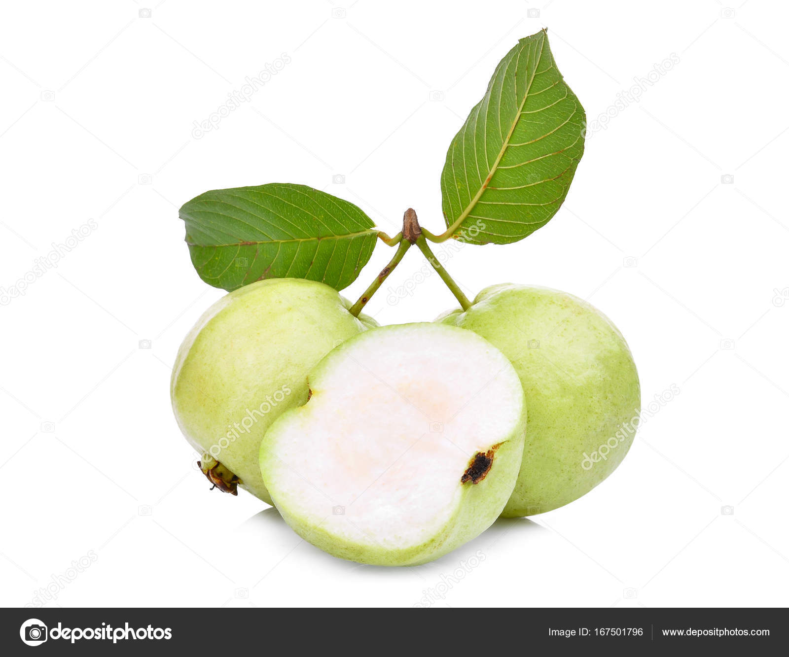 guava blad köpa guava blad köpa