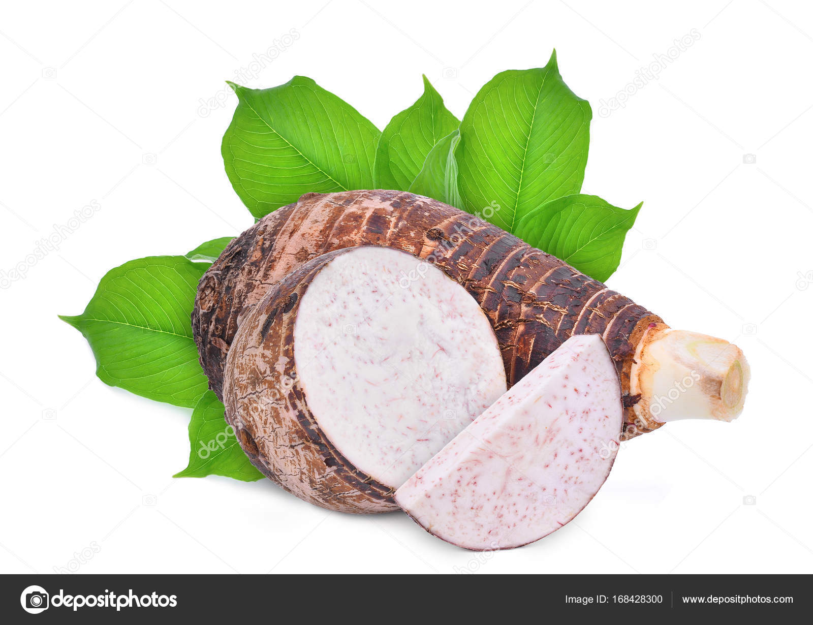 Whole And Slice With Green Leaves Of Taro Root Isolated On White Stock Photo C Boonchuay1970