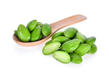 sato, parkia speciosa tohum veya w izole acı fasulye yığını