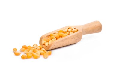 Beyaz arka plan üzerinde izole ahşap Kepçe kurutulmuş mısır tohumları