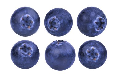 Beyaz arkaplanda yaban mersini izole edilmiş.