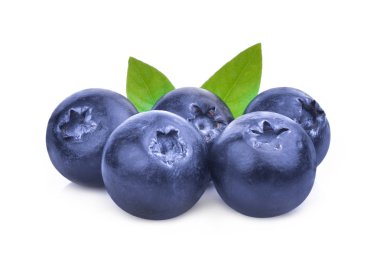 Beyaz arka planda yeşil yapraklı yaban mersini