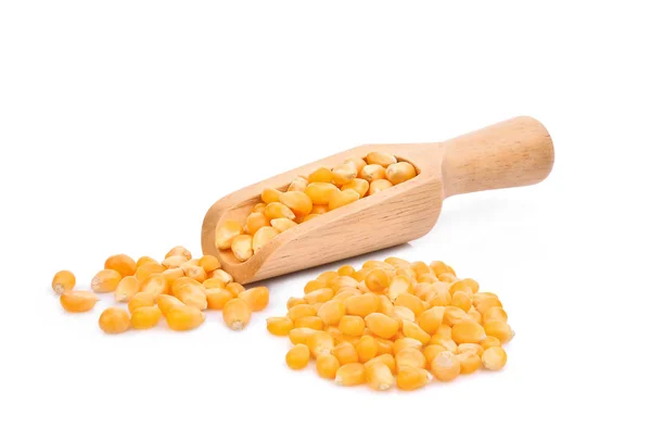 白底木勺干玉米种子 — 图库照片