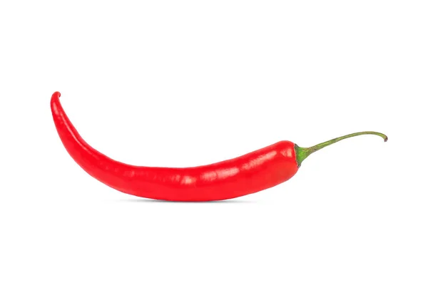 Único Red Hot Chilli Pepper isolado no fundo branco — Fotografia de Stock