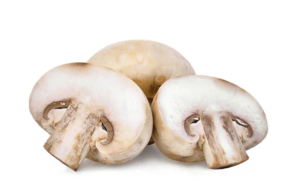 Champignon mushroom isolated on white background — Stock Photo, Image