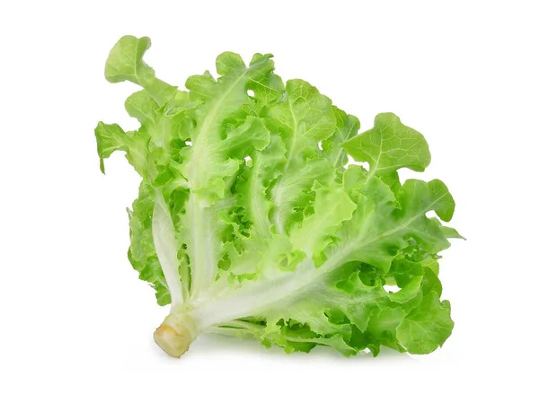 Färska gröna ek sallad salladsblad isolerad på vita bak — Stockfoto