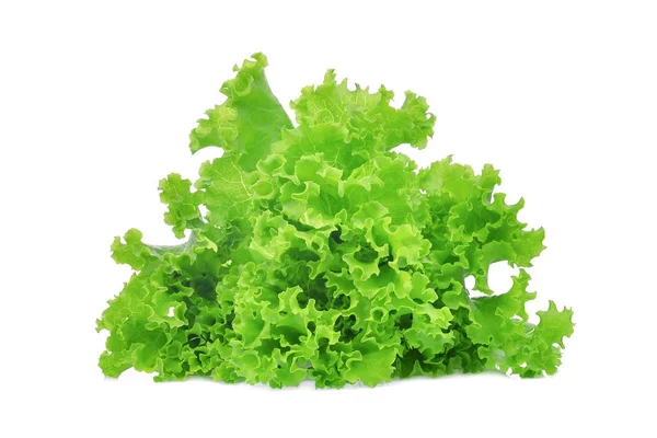 Hojas de ensalada de lechuga de roble verde fresco aisladas sobre fondo blanco —  Fotos de Stock