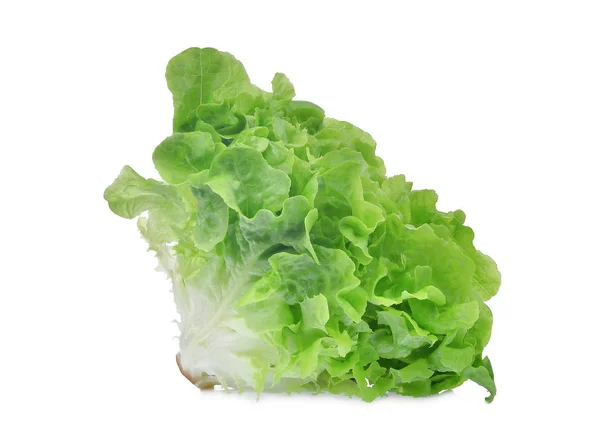 Foglie fresche di insalata di lattuga verde quercia isolate su backgroun bianco — Foto Stock