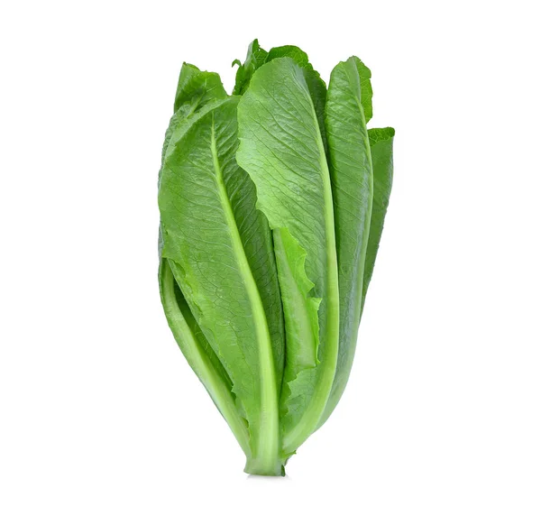 Fresh baby cos,lettuce isolated on white background — Stock Photo, Image