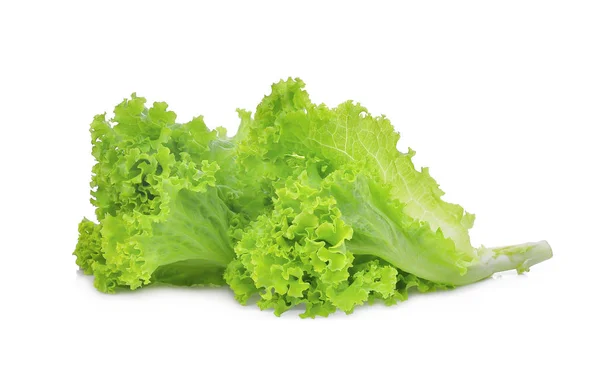 Feuilles de salade de chêne vert frais isolées sur fond blanc — Photo