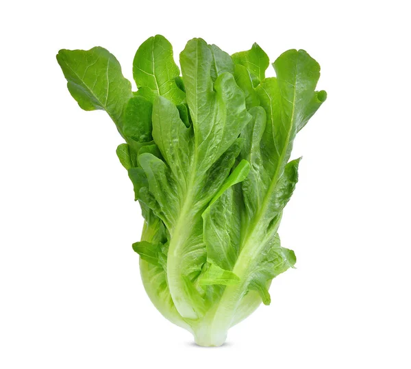 Fresh baby cos, green lettuce isolated on white background — Stock Photo, Image