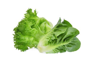 taze beyaz zemin üzerine yeşil marul izole çünkü bebeğim