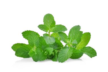 Beyaz arkaplanda izole edilmiş taze nane yaprağı